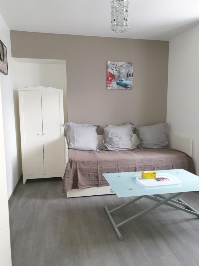 Studio Meuble Au Rdc , Proche Lac Aix-les-Bains Ngoại thất bức ảnh