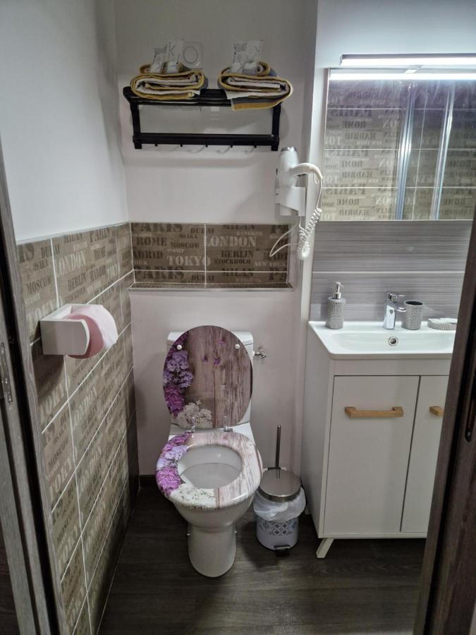Studio Meuble Au Rdc , Proche Lac Aix-les-Bains Ngoại thất bức ảnh